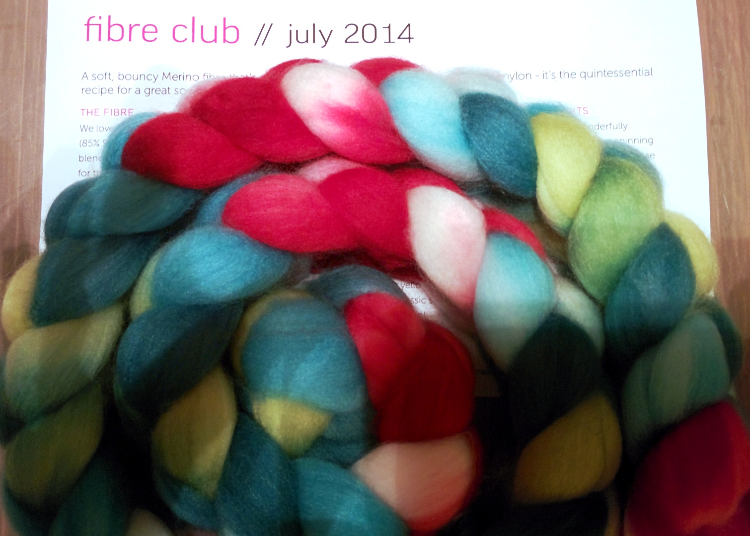 spinzilla 2014. Wool n' Spinning