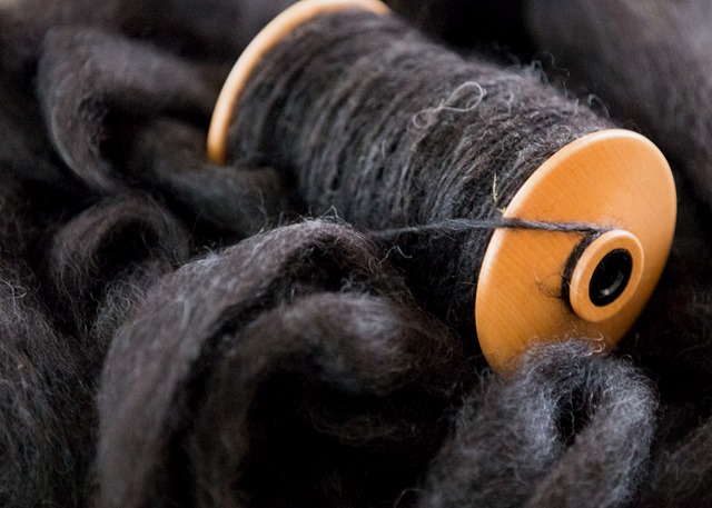 local long-wool find.