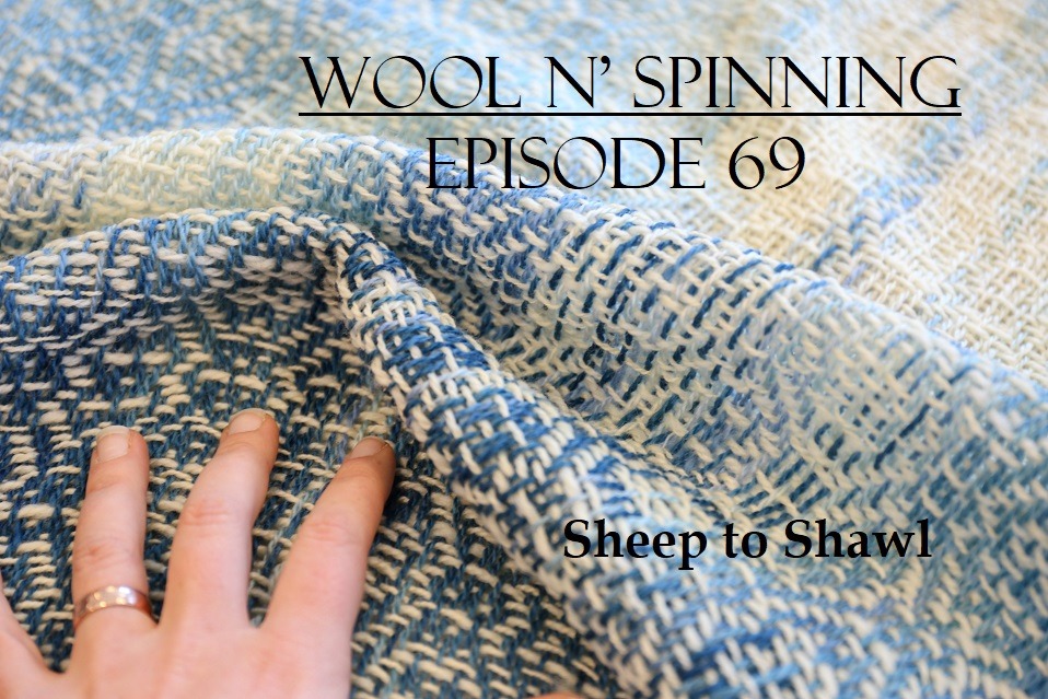 Episode 69: Sheep to Shawl