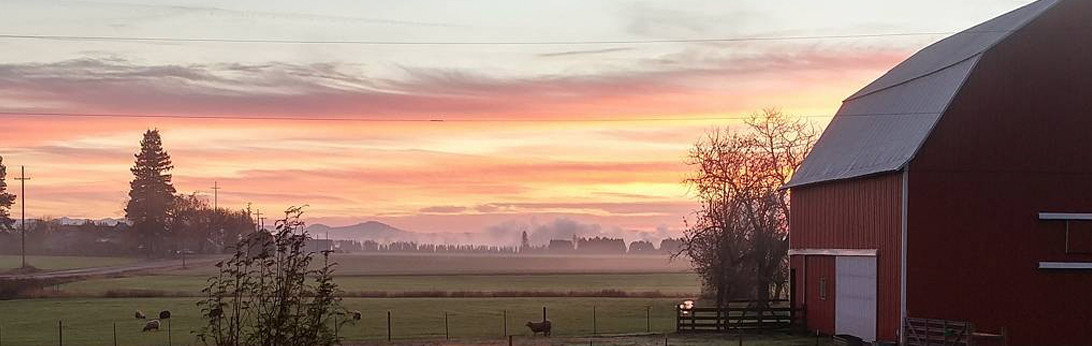 Wool n’ Spinning Radio BONUS Episode: Kim of Ewethful Farm & Mill