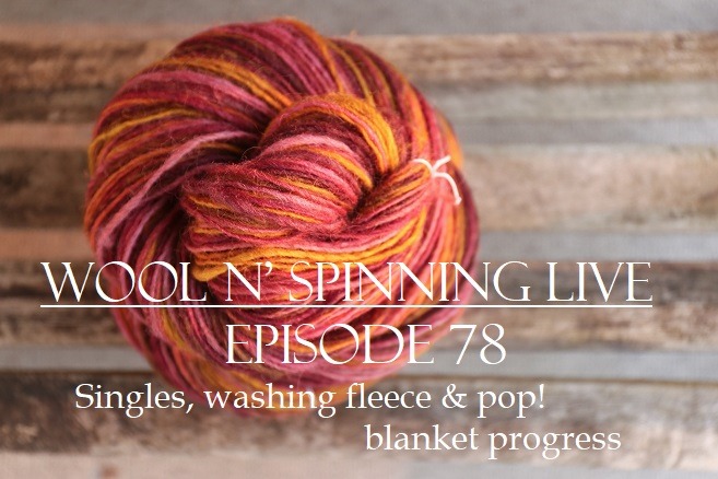 Episode 78 Live: Singles, washing fleece & POP! blanket progress