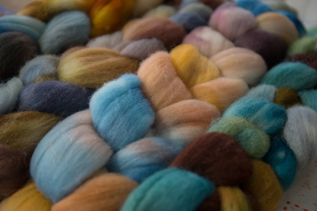 Colour & Breed Studies: October to March