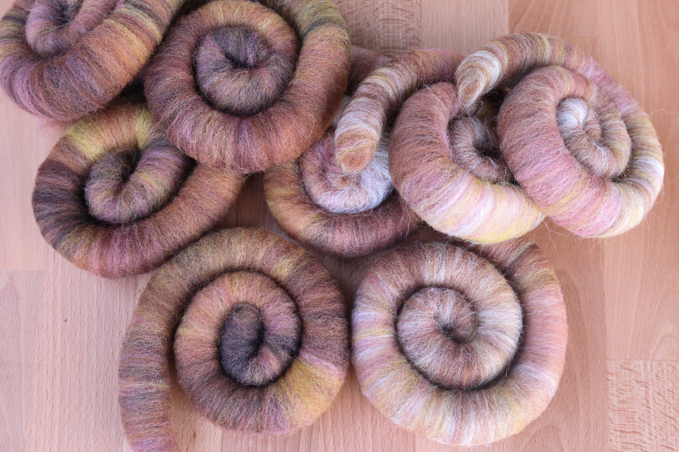 Breed & Colour Study: Dorset Horn