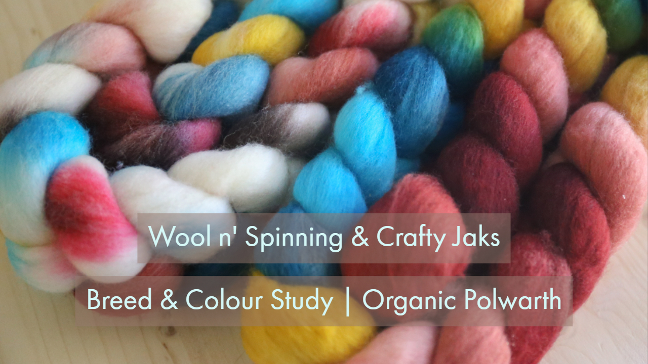 Breed & Colour Studies: Organic Polwarth