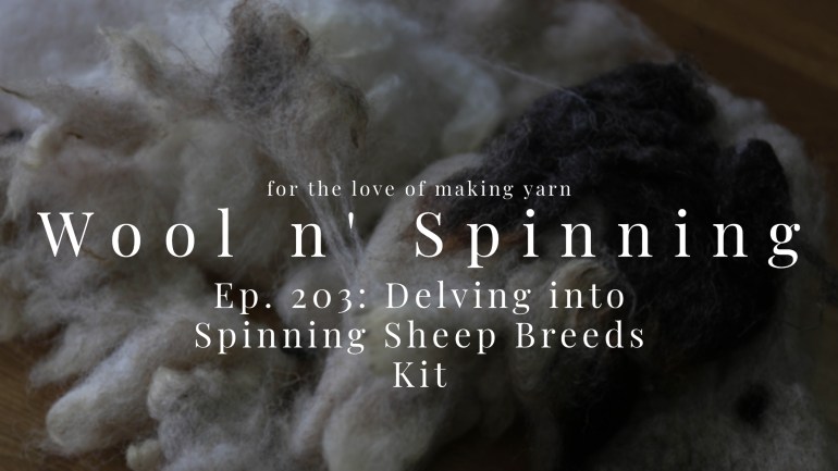 WnS Ep. 203: Delving into Spinning Sheep Breeds Kit