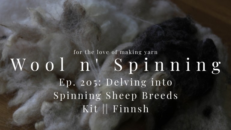 WnS Ep. 205: Delving into Spinning Sheep Breeds Kit || Finnish
