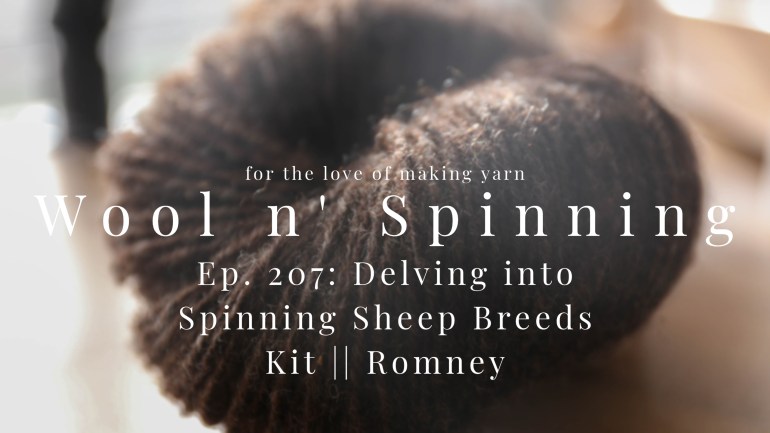 WnS Ep. 207: Delving into Spinning Sheep Breeds Kit || Romney