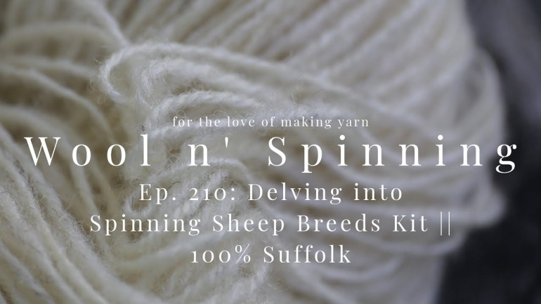 WnS Ep. 210: Delving into Spinning Sheep Breeds Kit ||100% Suffolk