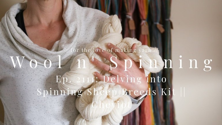 WnS Ep. 211: Delving into Spinning Sheep Breeds Kit || Cheviot
