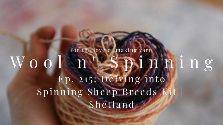 WnS Ep. 215: Delving into Spinning Sheep Breeds Kit || Shetland