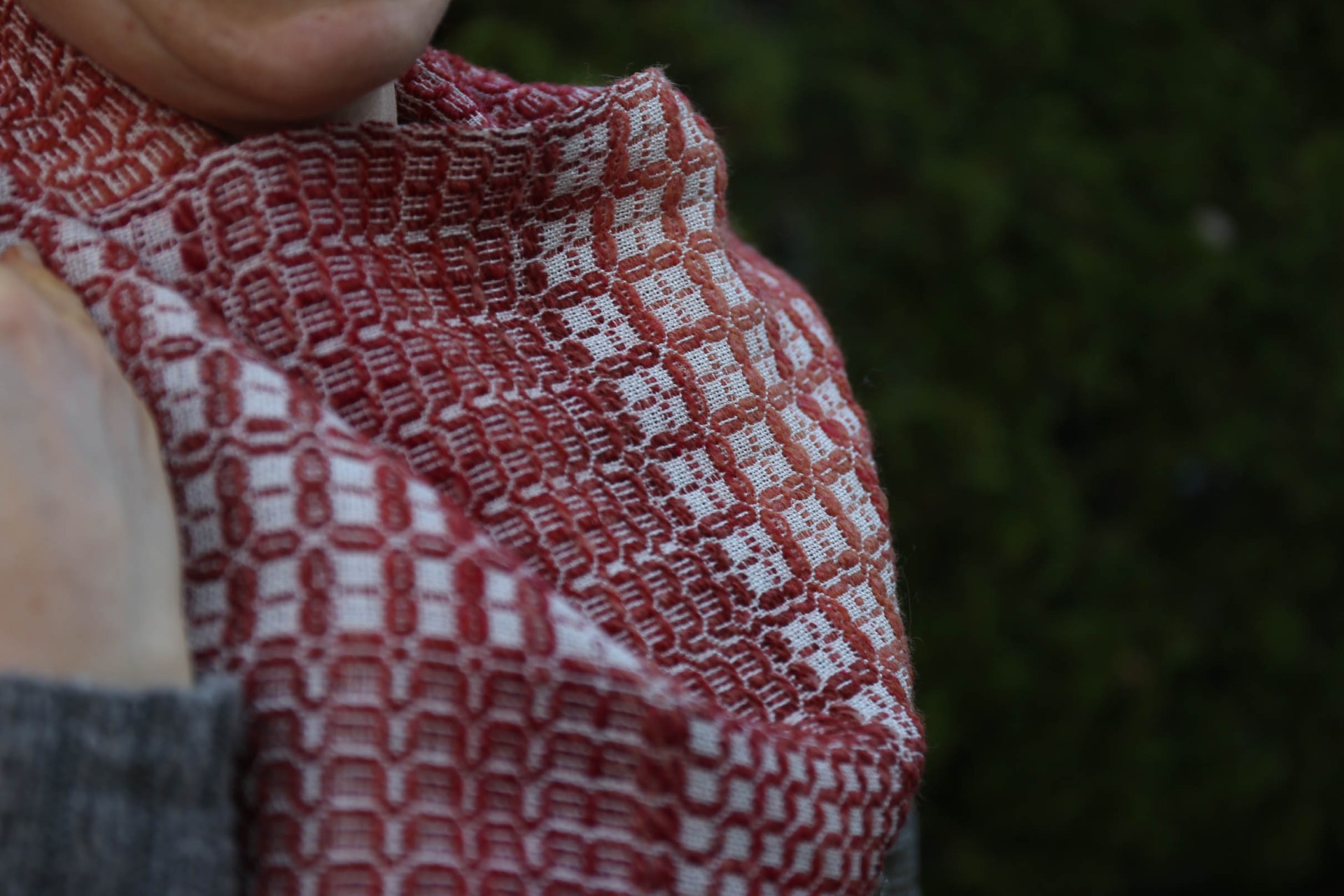 Breed & Colour Study: Radnor