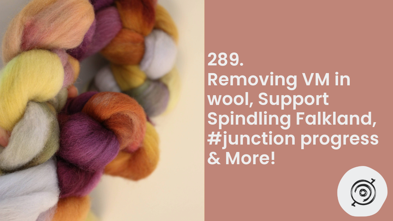 Removing VM in Wool, Support Spindling Falkland, #junction Progress & More! | Wool n’ Spinning, ep. 289