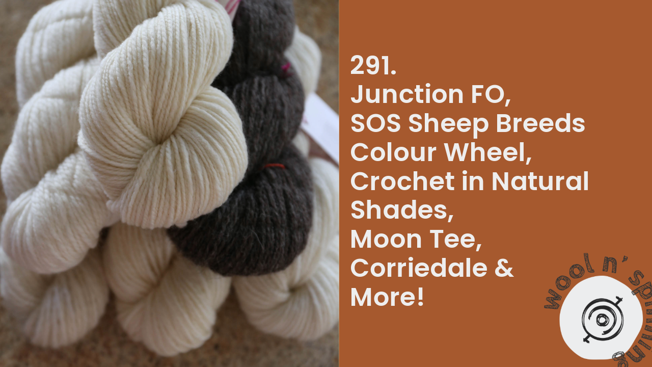 Junction FO, Developing a Colour Wheel & More! | Wool n’ Spinning, ep. 291