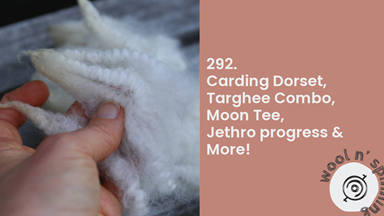 Carding Dorset, Targhee Combo, Moon Tee & More! | Wool n’ Spinning, ep. 292