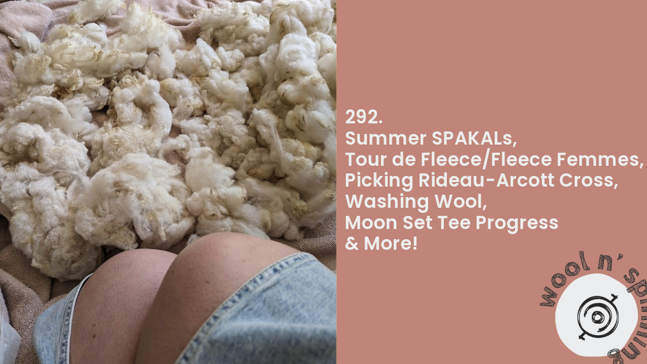 Picking Rideau-Arcott Cross, Washing Wool, Moon Set Tee & More! | Wool n’ Spinning, ep. 293