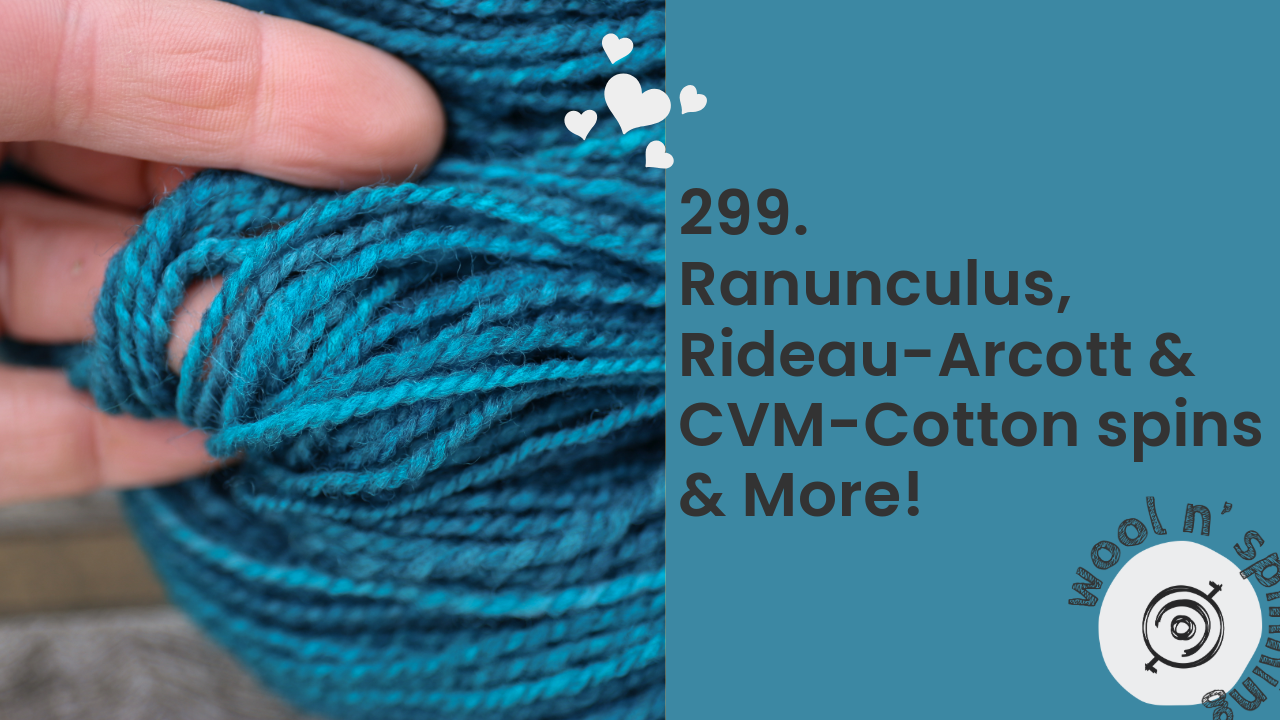 Ranunculus, Rideau-Arcott & CVM/Cotton Spins & More! | Wool n’ Spinning, ep. 299