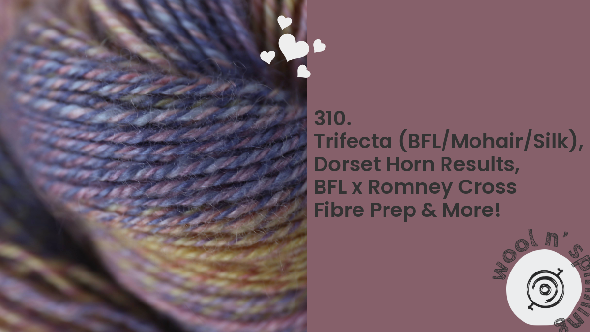 Trifecta, Dorset Horn, BFLxRomney & More! | Wool n’ Spinning, ep. 310