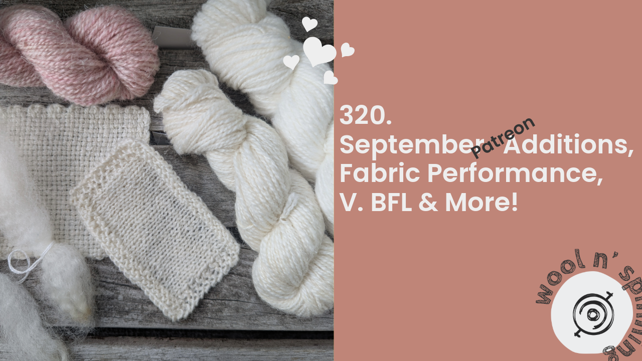 September Additions, Fabric Performance, V. BFL & More! | Wool n’ Spinning, ep. 320