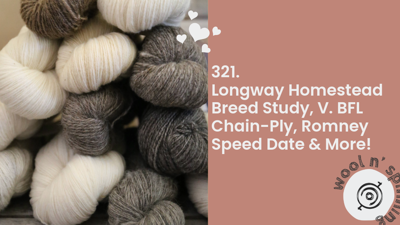 Longway Homestead Breed Study, V. BFL Chain-Ply, Romney Speed Date & More! | Wool n’ Spinning, ep. 321